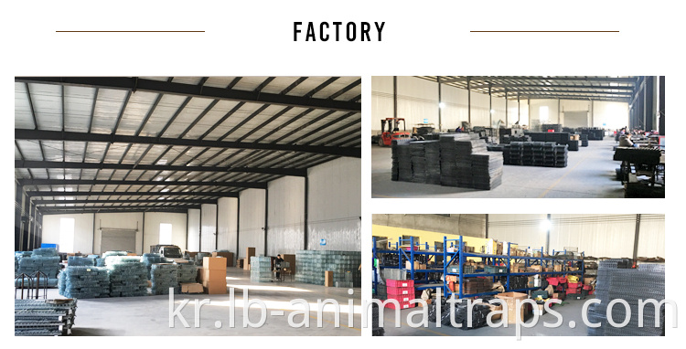 Hot Sale Liebang Marten Trap Cages for Sale Factory Supply